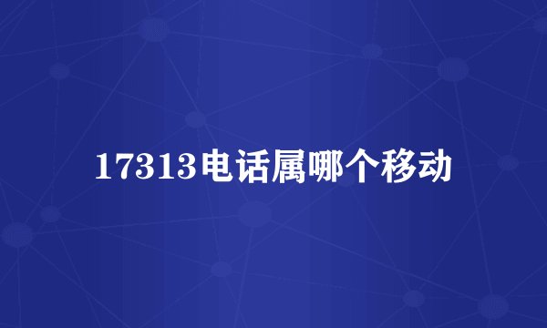 17313电话属哪个移动