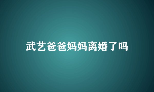 武艺爸爸妈妈离婚了吗