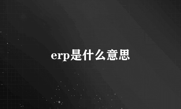 erp是什么意思