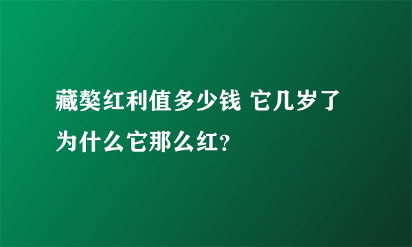 藏獒红利值多少钱 它几岁了 为什么它那么红？