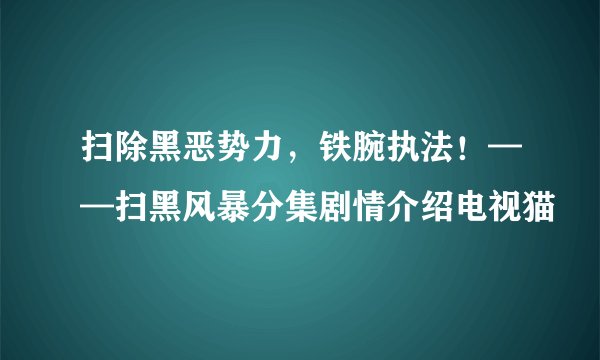 扫除黑恶势力，铁腕执法！——扫黑风暴分集剧情介绍电视猫