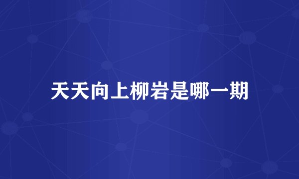 天天向上柳岩是哪一期