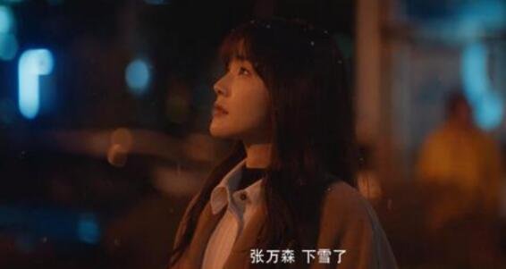 张万森是什么梗