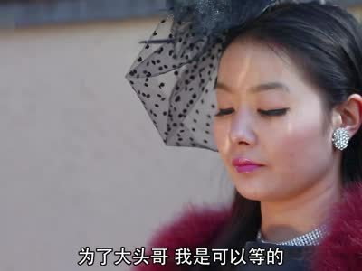 别惹co姐的介绍