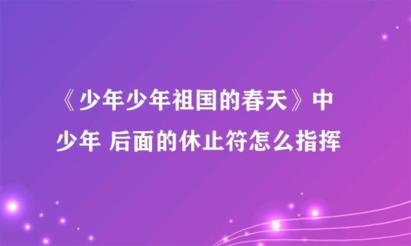 《少年少年祖国的春天》中 少年 后面的休止符怎么指挥