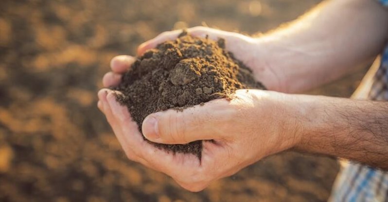 稀土元素的读音分别是什么？