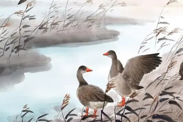 鸿鹄传书一词源自哪个历史故事