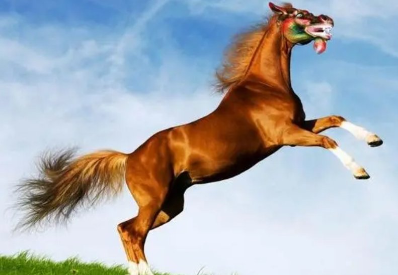 争斤论两打一动物