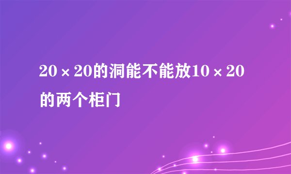 20×20的洞能不能放10×20的两个柜门