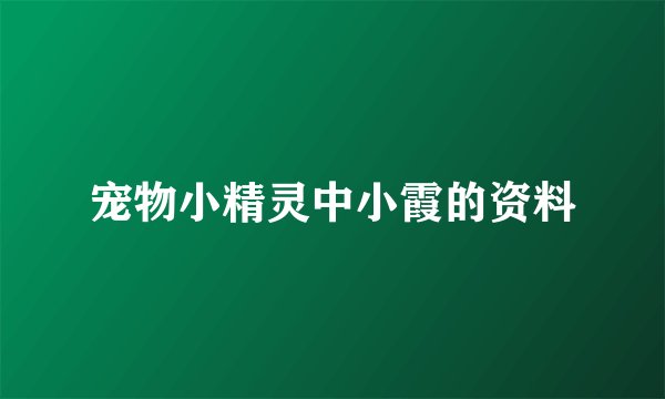 宠物小精灵中小霞的资料