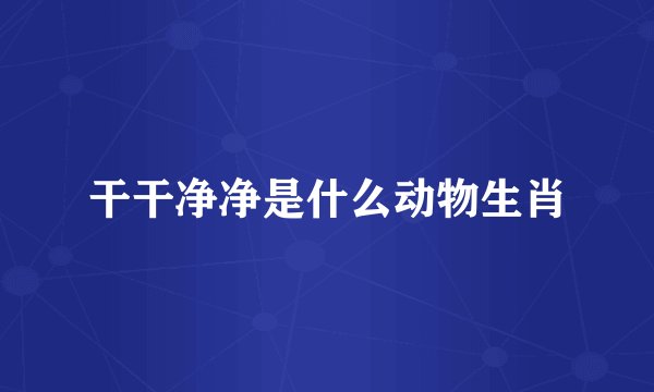 干干净净是什么动物生肖