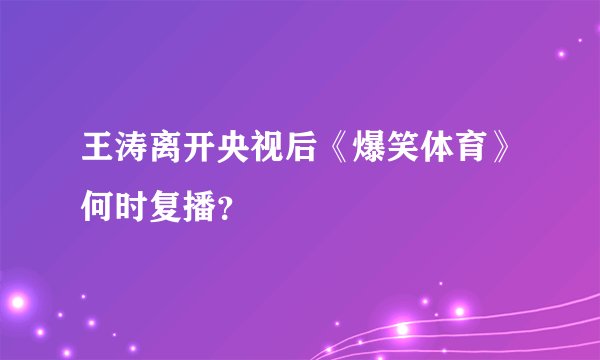 王涛离开央视后《爆笑体育》何时复播？