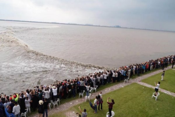 《观潮》的生字词有哪些？