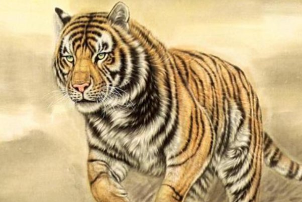 强者反己打一最佳生肖