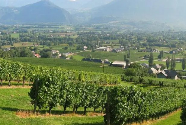 一二三产区的文化背景