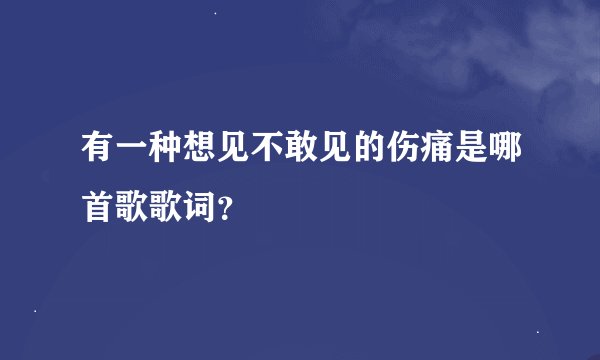 有一种想见不敢见的伤痛是哪首歌歌词？