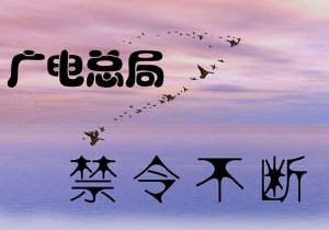 广电总局发文力挺爱国爱港艺人,文中还有哪些信息值得关注?