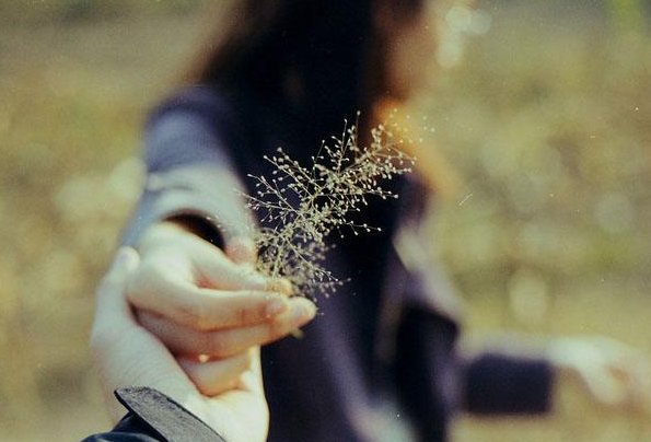 有创意的邮箱名有哪些?