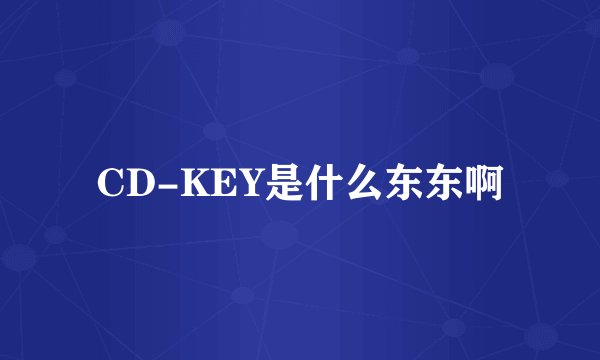 CD-KEY是什么东东啊