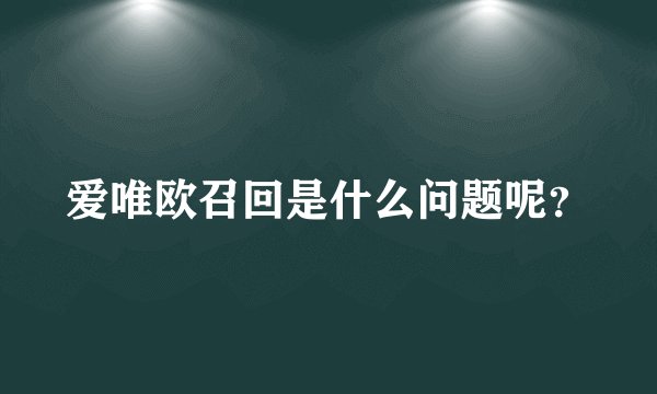 爱唯欧召回是什么问题呢？