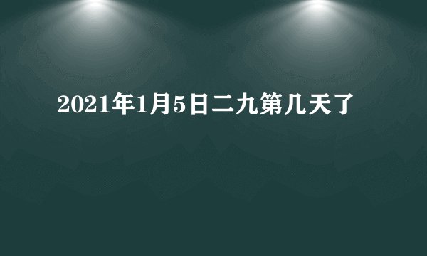 2021年1月5日二九第几天了