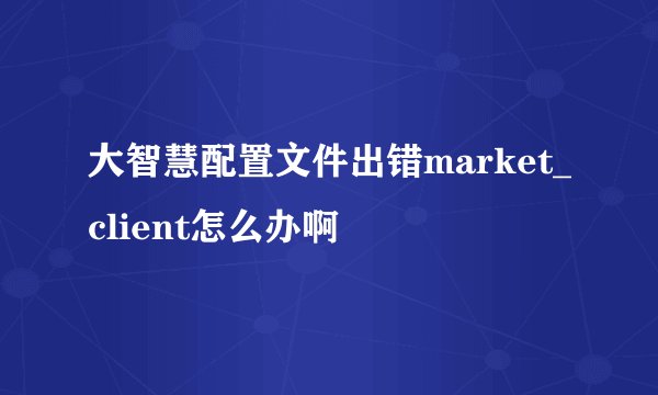 大智慧配置文件出错market_client怎么办啊