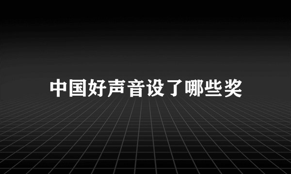 中国好声音设了哪些奖