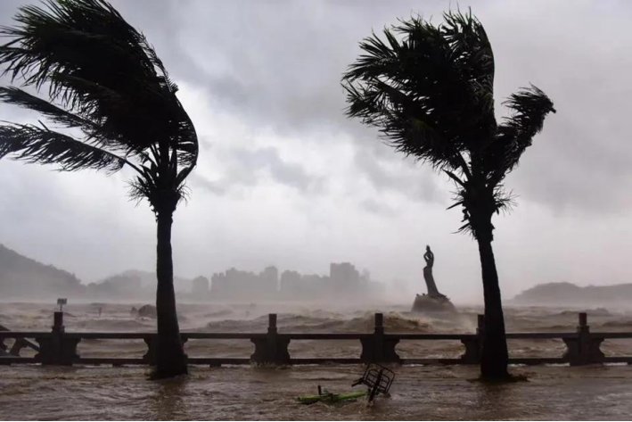 台风的移动路径是怎样的形式
