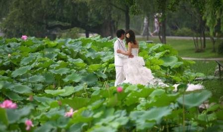 请你说说荷花在中国传统文化中有哪些象征意义