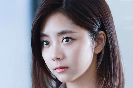 狐狸的春天第一季全集介绍