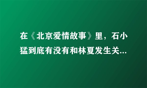 在《北京爱情故事》里，石小猛到底有没有和林夏发生关系。请认真看过此剧的人给我一个最合情理的真相。