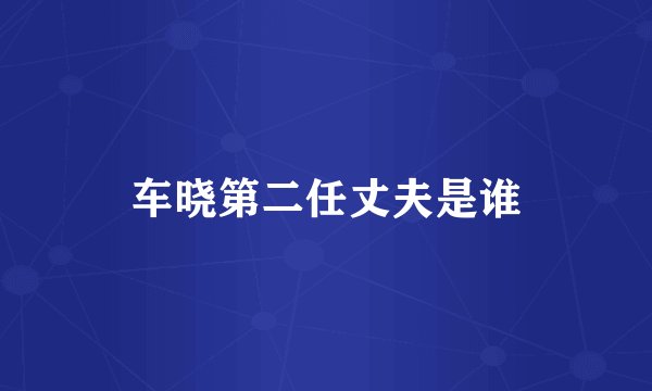 车晓第二任丈夫是谁
