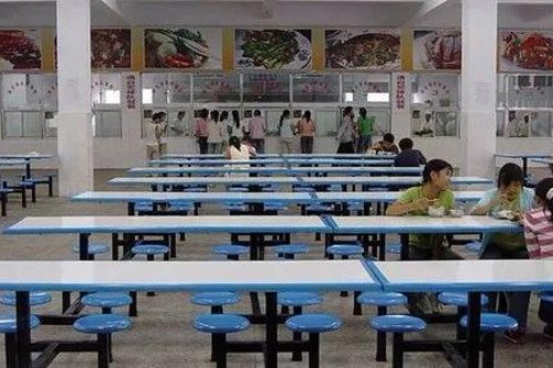 学生腹泻涉事供餐企业注册地为酒店,这公司为何能一举中标?