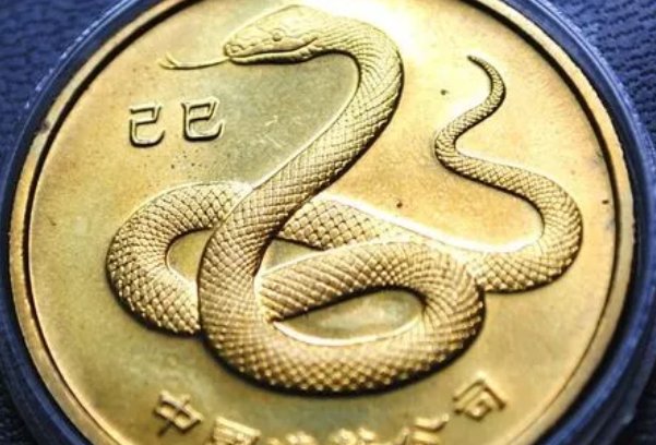 杂乱无章指什么生肖动物