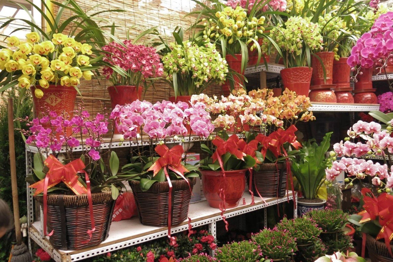 沈阳最便宜的花卉市场在哪里？