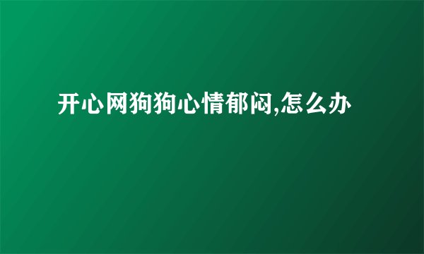 开心网狗狗心情郁闷,怎么办