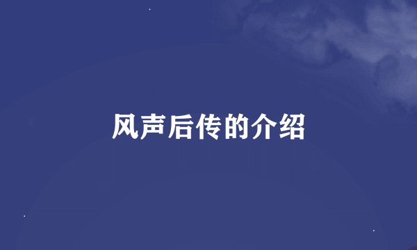 风声后传的介绍