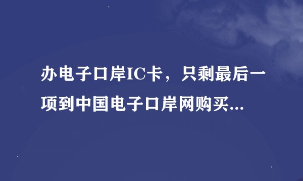 办电子口岸IC卡，只剩最后一项到中国电子口岸网购买95199上网卡。怎么样购买啊？详细操作啊!