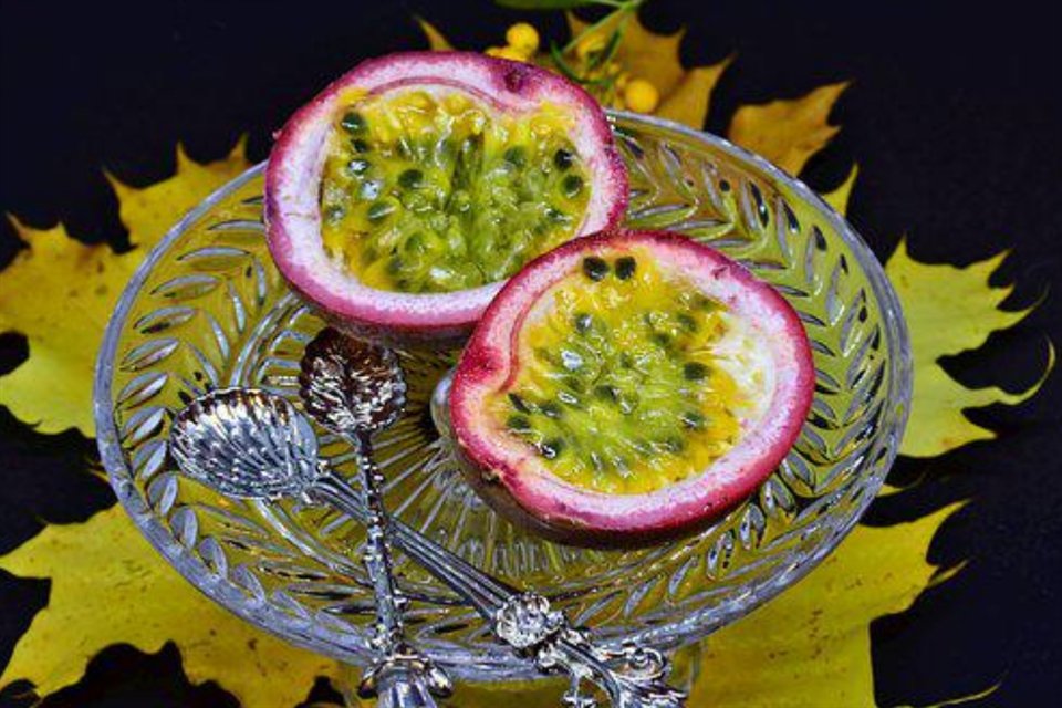 超过35度百香果很难结果吗? 百香果几月份成熟