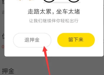 ofo押金在哪里退