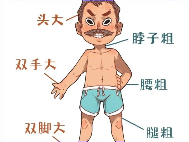 五大三粗是褒义词还是贬义词