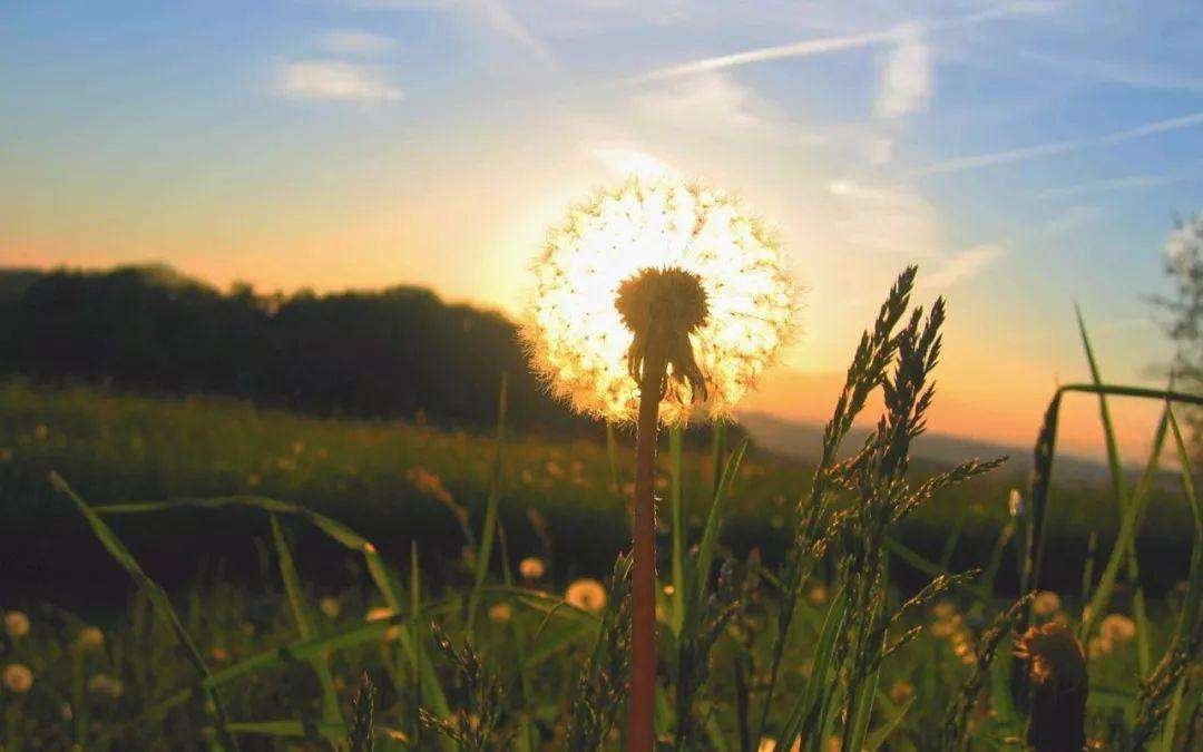 “温和从容，岁月静好”是什么意思