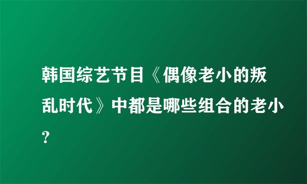 韩国综艺节目《偶像老小的叛乱时代》中都是哪些组合的老小？