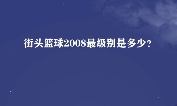 街头篮球2008最级别是多少？