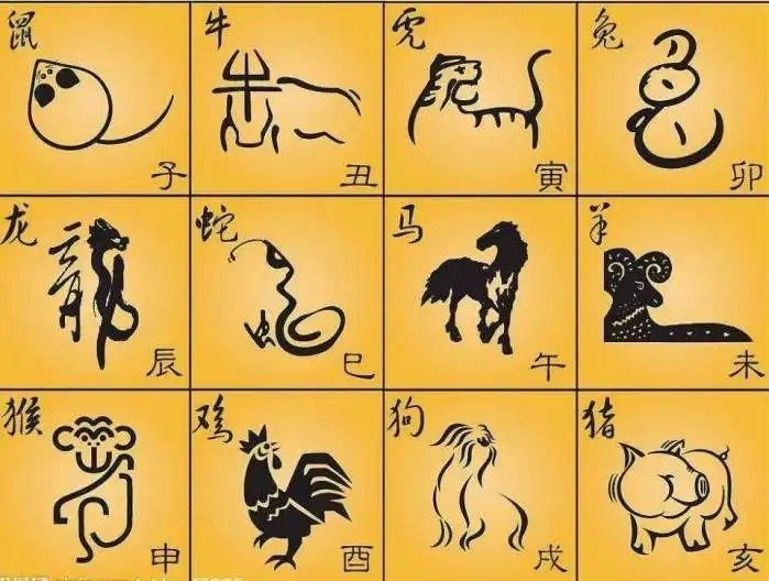 晨光初现解什么生肖