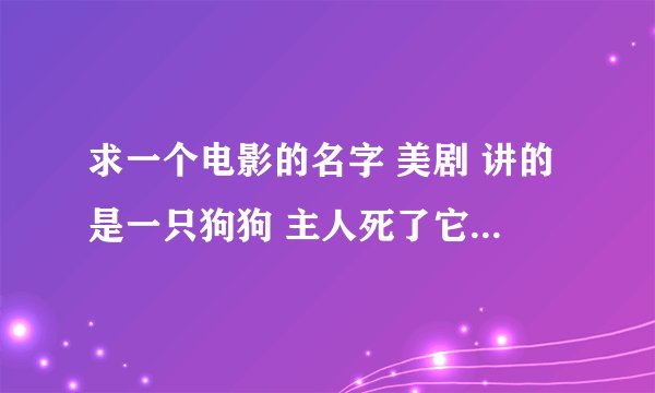 求一个电影的名字 美剧 讲的是一只狗狗 主人死了它一直在火车站等着