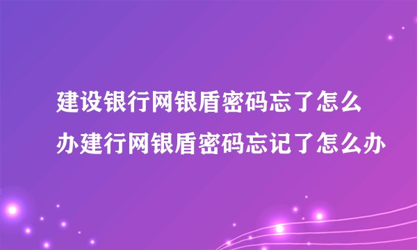 建设银行网银盾密码忘了怎么办建行网银盾密码忘记了怎么办