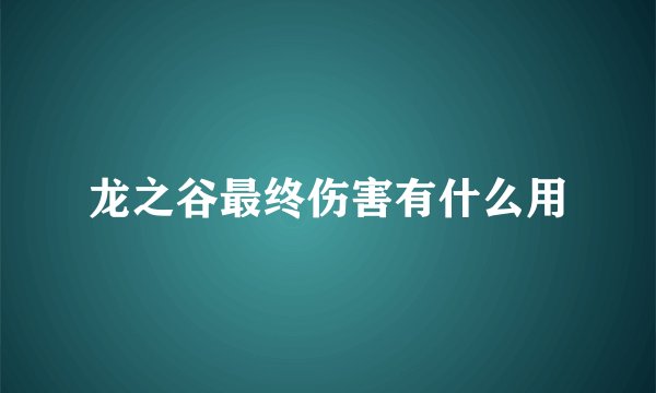 龙之谷最终伤害有什么用