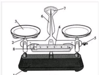 如何调节天平的平衡？