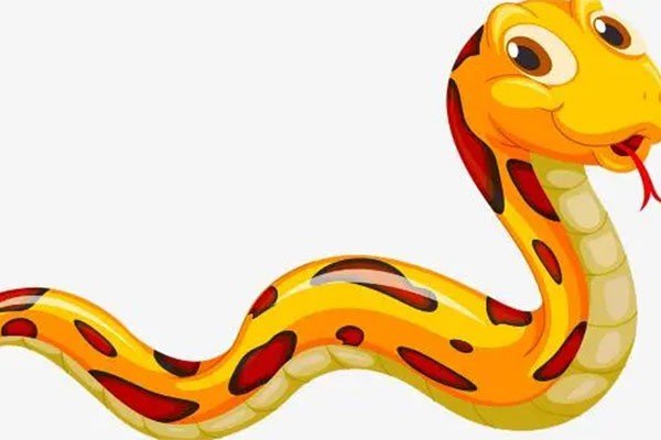 有影无踪打一生肖动物